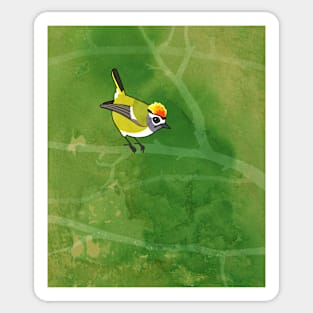 Firecrest (Regulus ignicapillus) Sticker